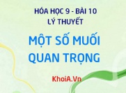 Muối Natri Clorua NaCl, Kali nitrat KNO3 tính chất và ứng dụng - Lý thuyết Hóa 9 bài 10